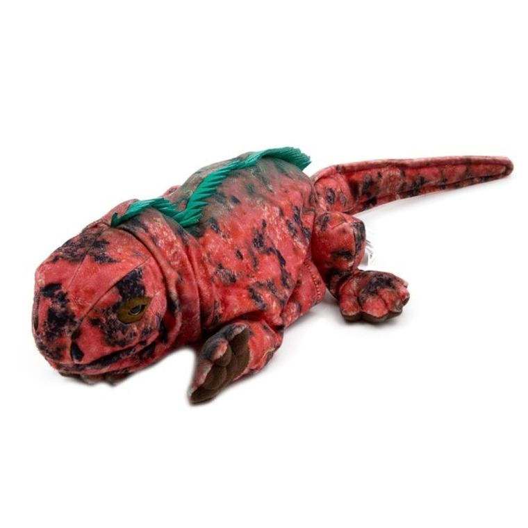 National Geographic, iguana, pacynka