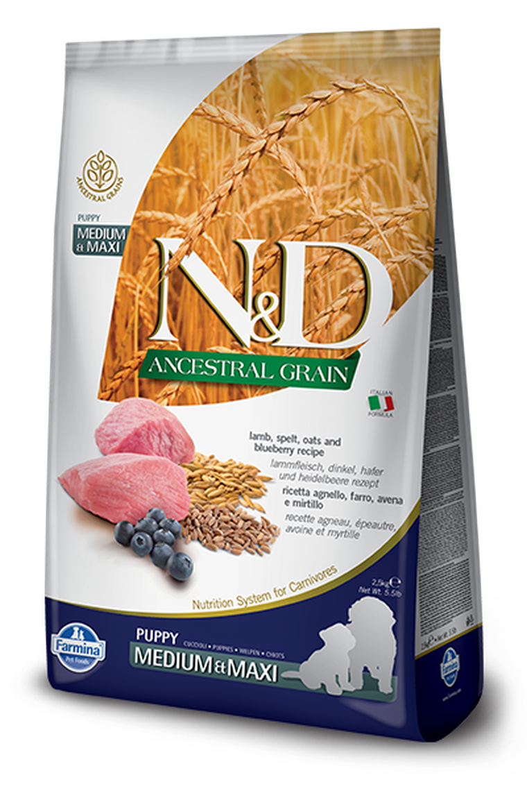 N&D Ancestral Grain, Low Grain, karma dla szczeniąt, rasy średnie i duże, jagnięcina i borówka, 12 kg