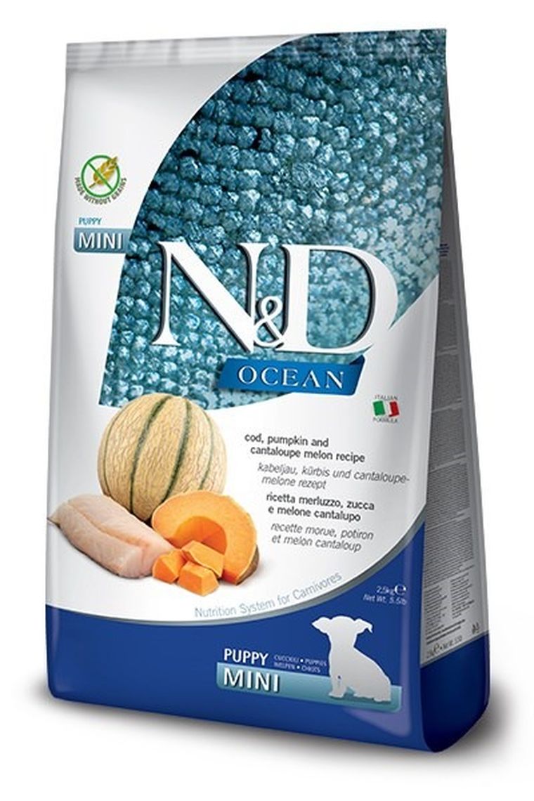 N&D, Ocean, Cod, Pumpkin & Cantaloupe Melon, Puppy, Mini, sucha karma dla psa, 800g