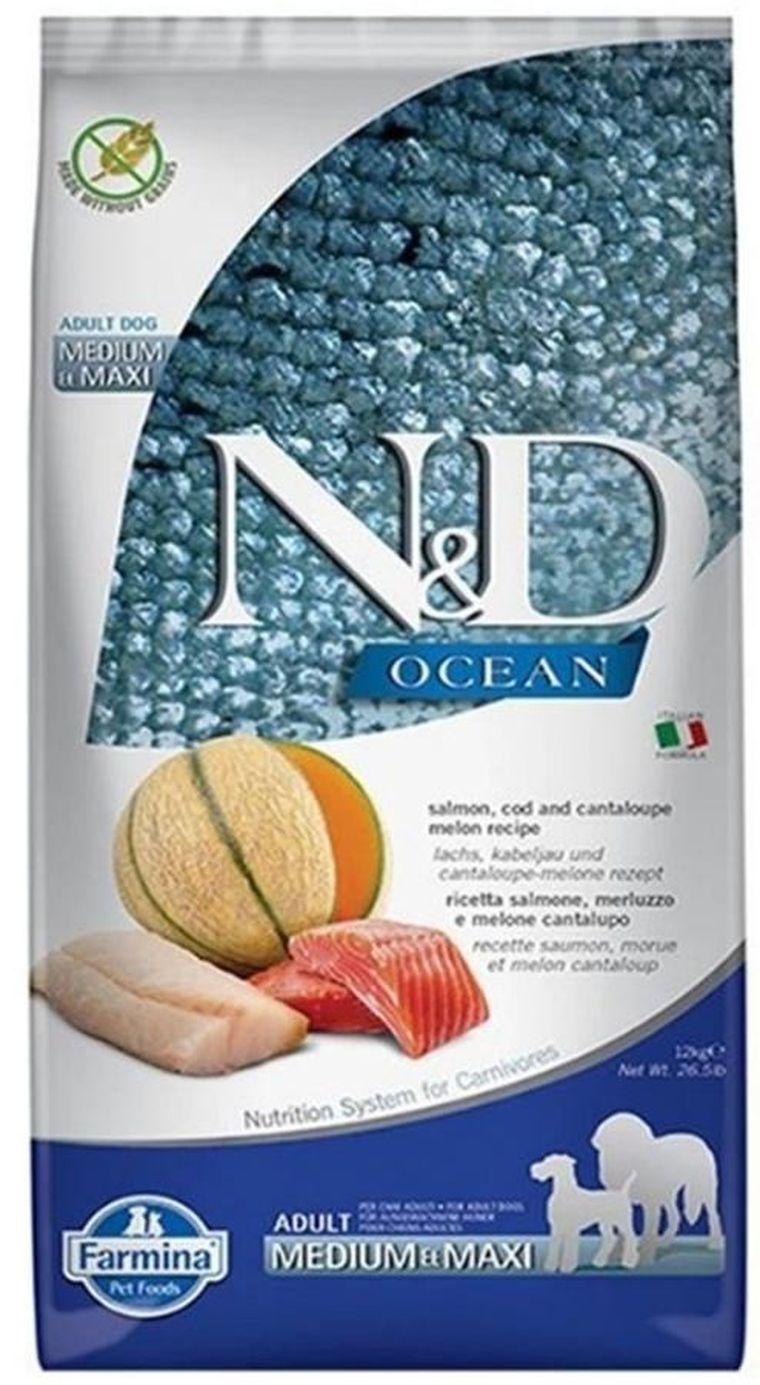 N&D, Ocean, Salmon, Cod & Cantaloupe Melon, Medium Maxi, sucha karma dla psa, 12 kg