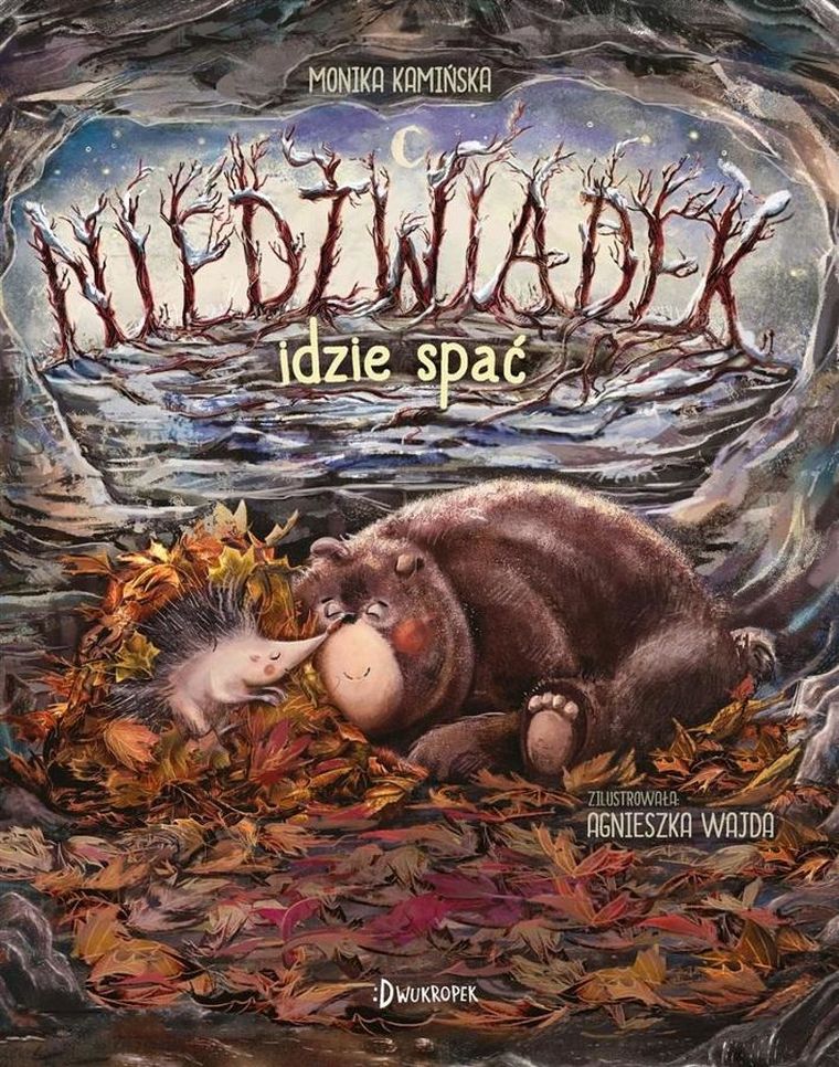 Niedźwiadek idzie spać. Tom 4. Niedźwiadek