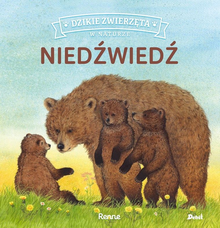 Niedźwiedź. Dzikie zwierzęta w naturze