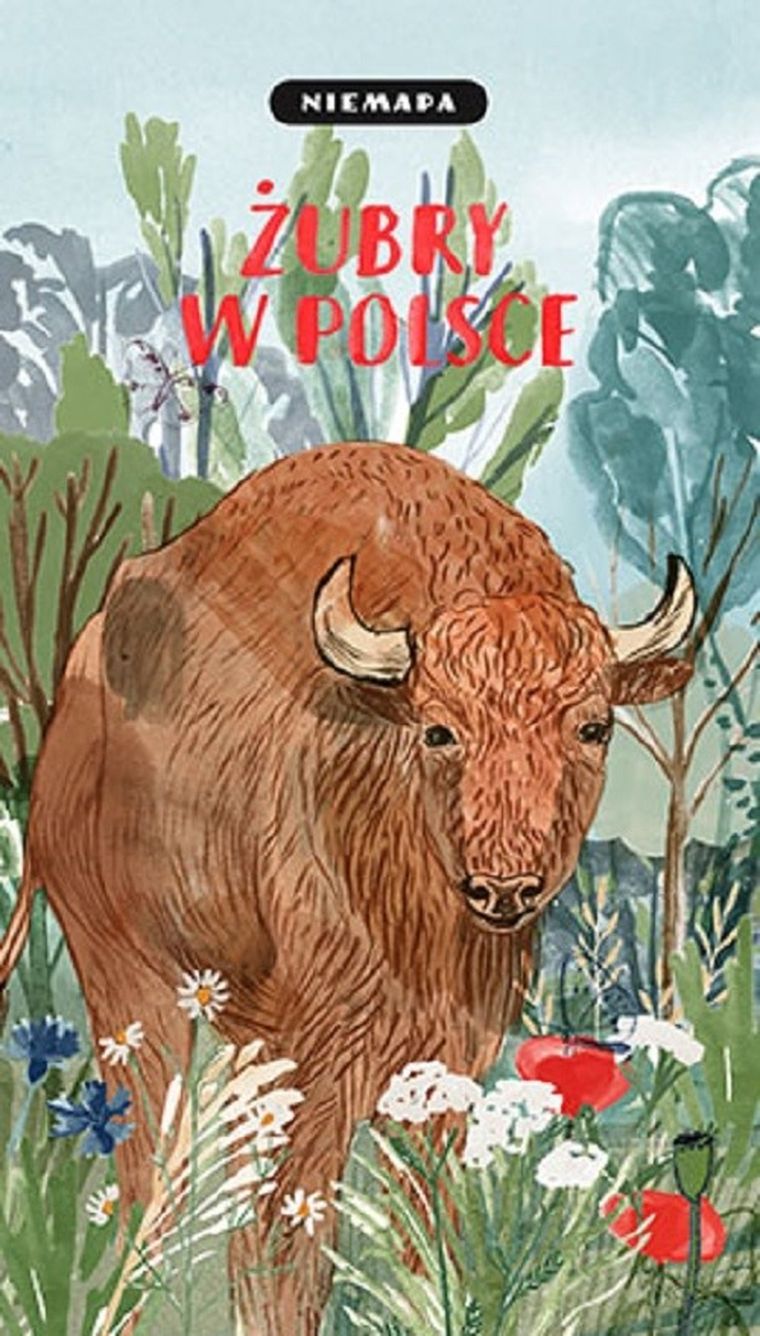 Niemapa. Żubry w Polsce
