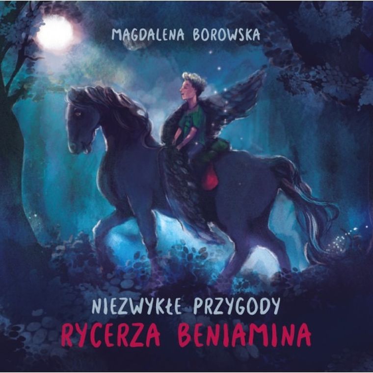 Niezwykłe przygody rycerza Beniamina