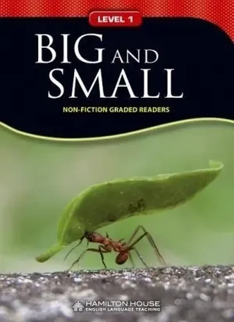 Non - Fiction Readers. Big And Small. Level 1