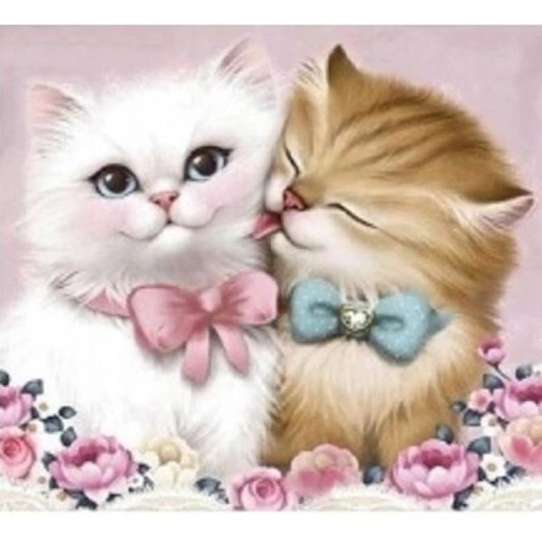 Norimpex, Diamentowa mozaika 5D, Słodkie kotki