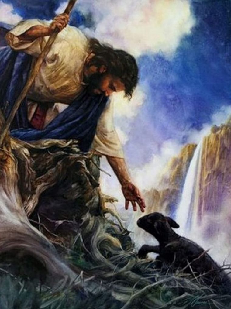 Norimpex, Diamentowa mozaika, Jezus ratuje czarną owce