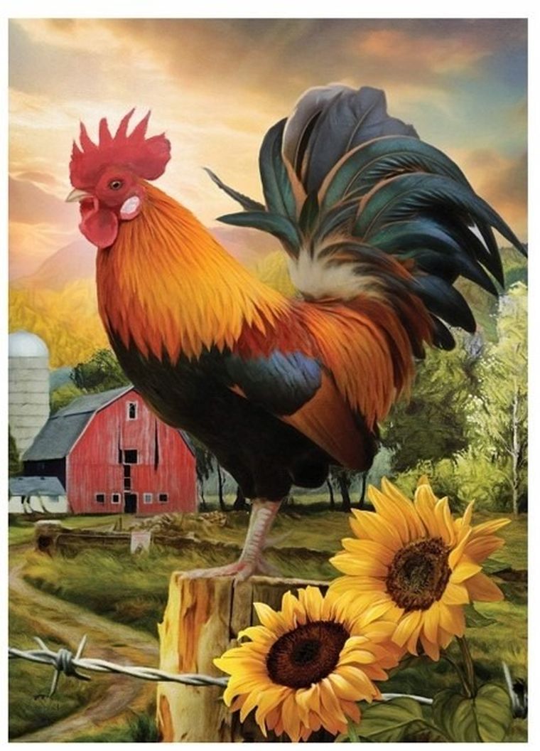 Norimpex, diamentowa mozaika, Kogut na farmie, 30-40 cm