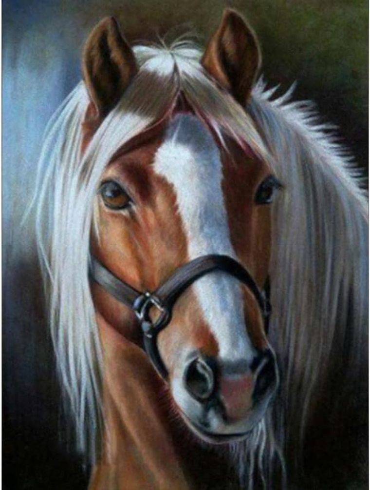 Norimpex, diamentowa mozaika, Koń z jasną grzywą