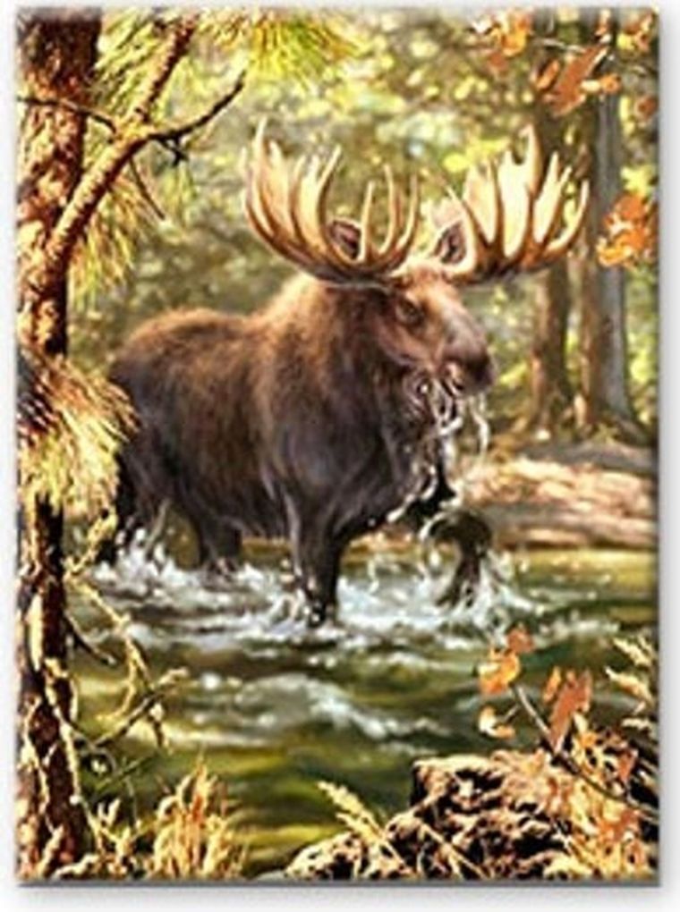 Norimpex, Diamentowa mozaika, Łoś w lesie