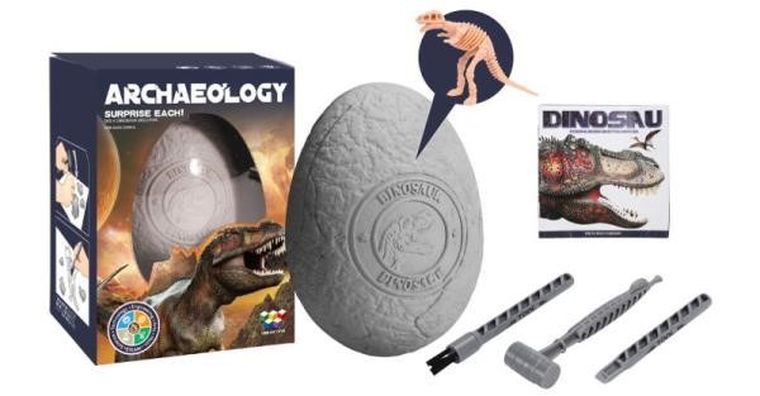 Norimpex, jajo dinozaura, skamielina, 1 szt.