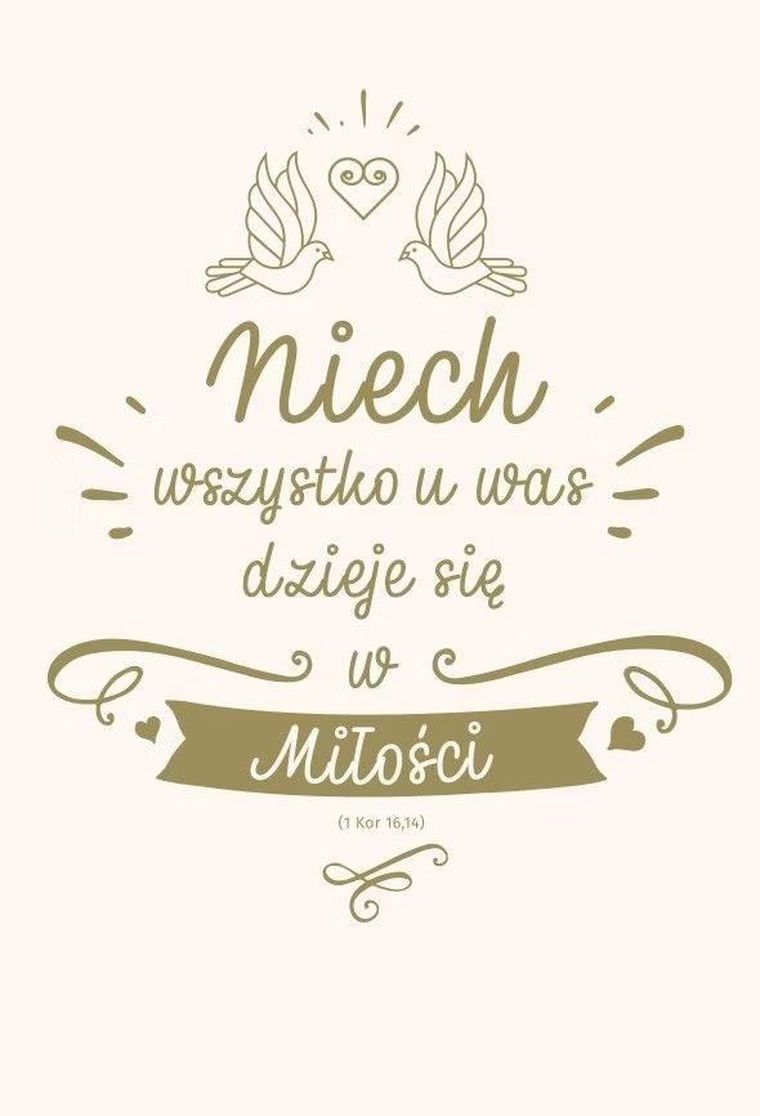 Nowy Testament z infografikami B5. Ślub