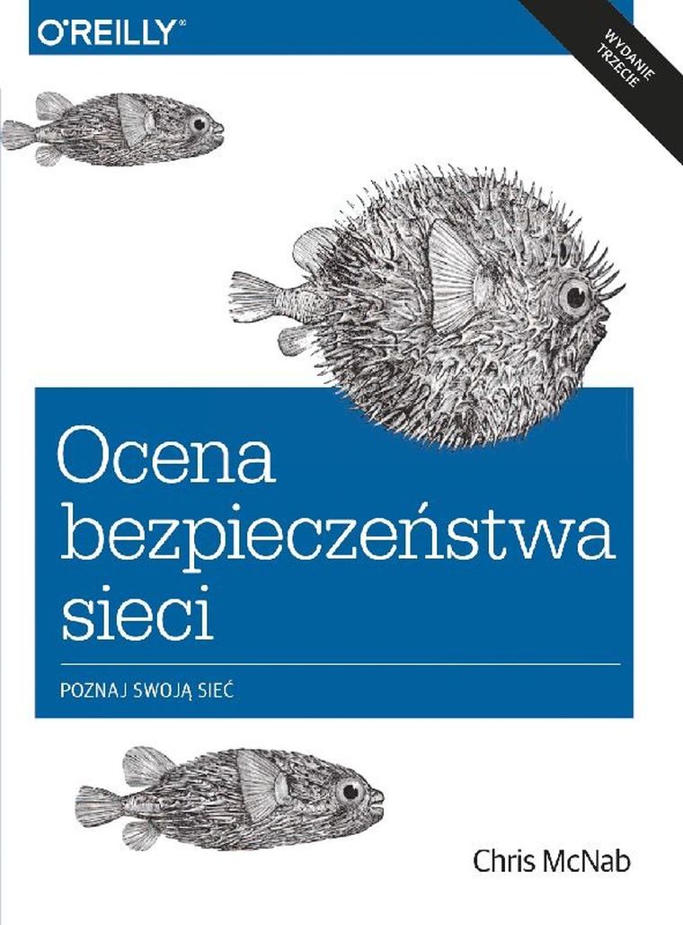 Ocena bezpieczeństwa sieci