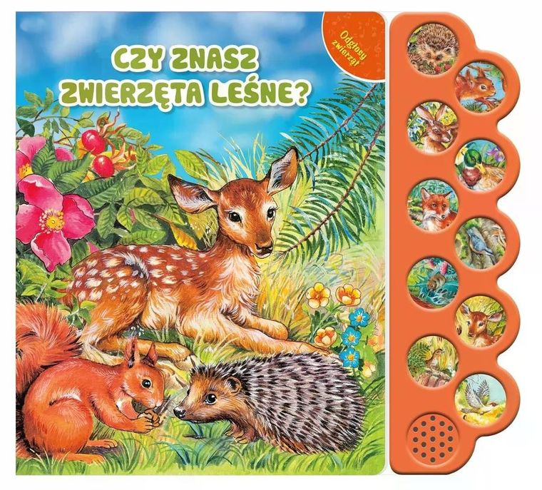 Odgłosy zwierząt. Czy znasz zwierzęta leśne?
