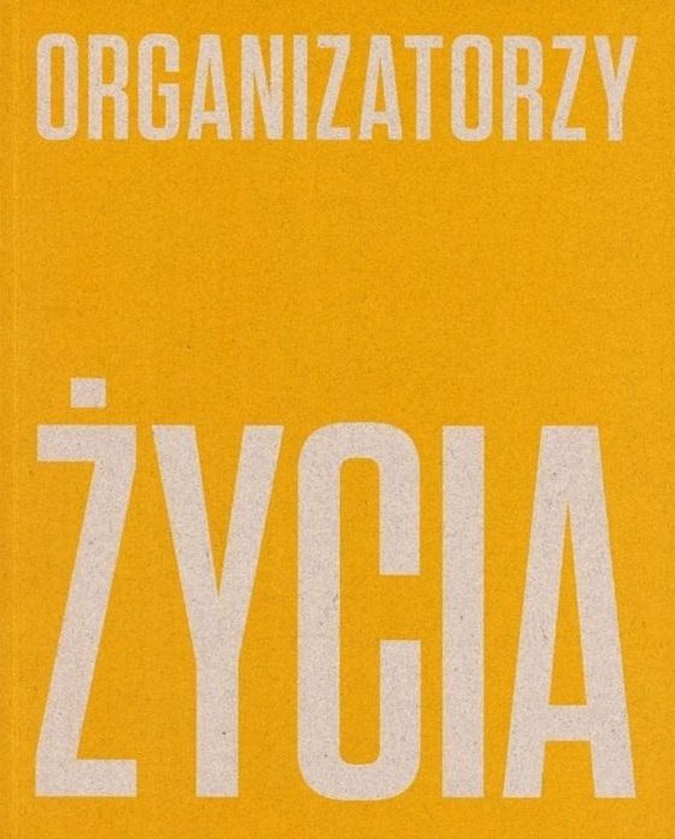 Organizatorzy życia De Stijl, polska awangarda