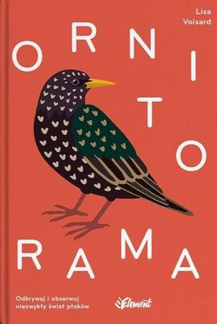 Ornitorama. Odkrywaj i obserwuj niezwykły świat ptaków