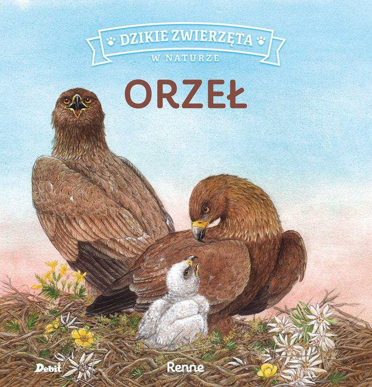 Orzeł. Dzikie zwierzęta w naturze