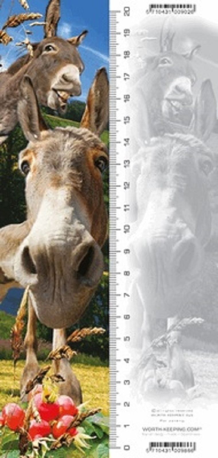 Osioł, zakładka 3D