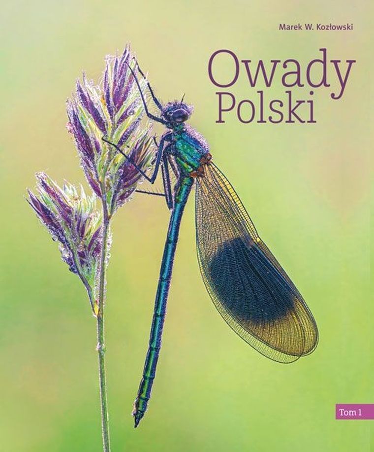 Owady Polski. Tom 1