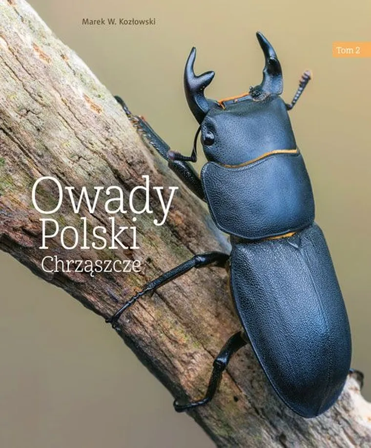 Owady Polski. Tom 2. Chrząszcze