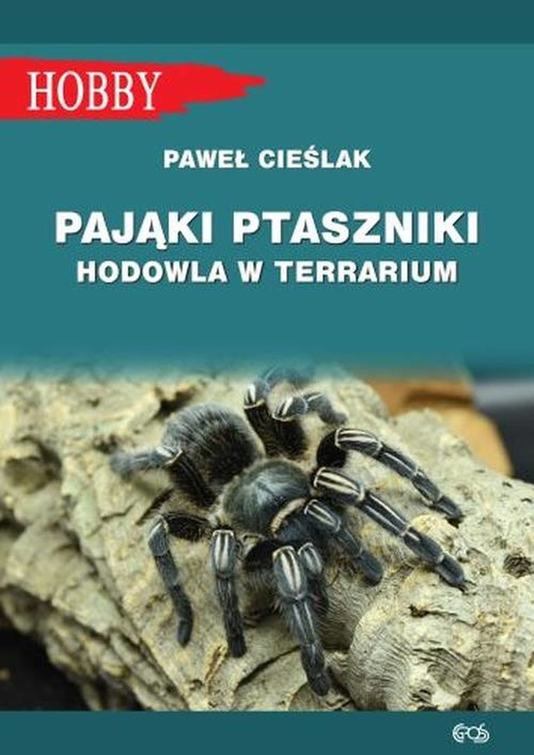 Pająki ptaszniki. Hodowla w terrarium