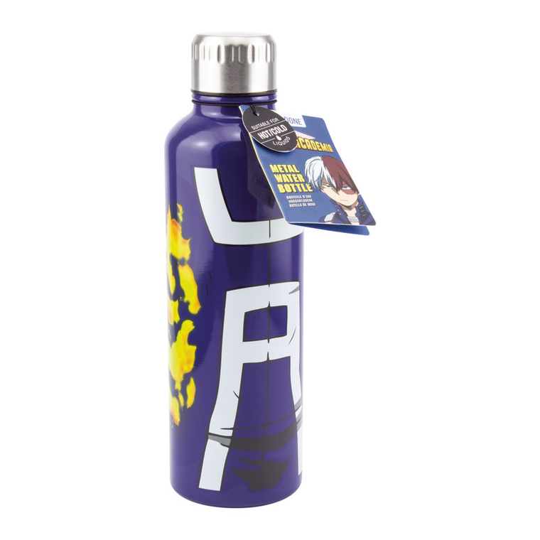 Paladone, My Hero Academia, metalowa butelka, 500 ml
