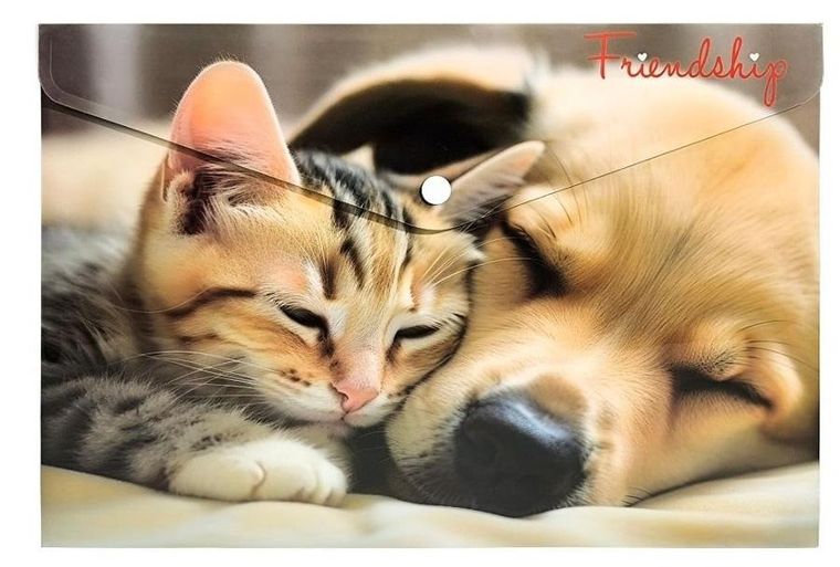 Panta Plast, koperta na napę, A4, Friendship, 1 szt.