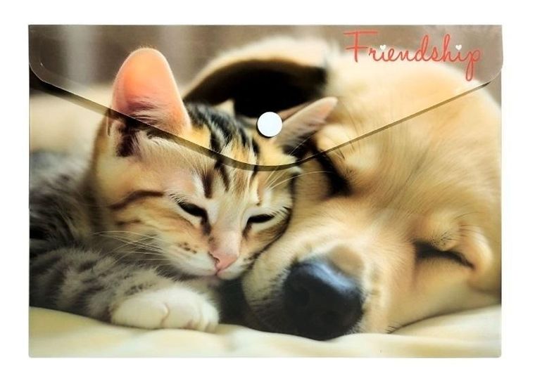 Panta Plast, koperta na napę, A5, Friendship, 1 szt.