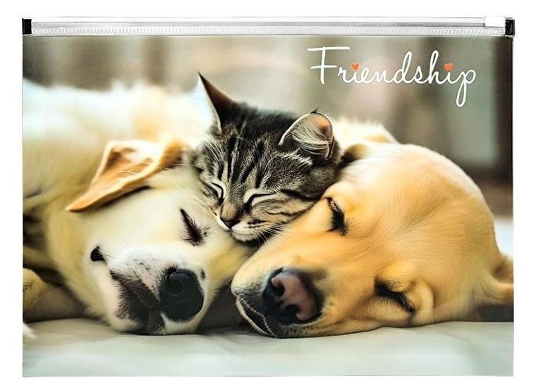 Panta Plast, koperta, zip, A4, Friendship, 1 szt.