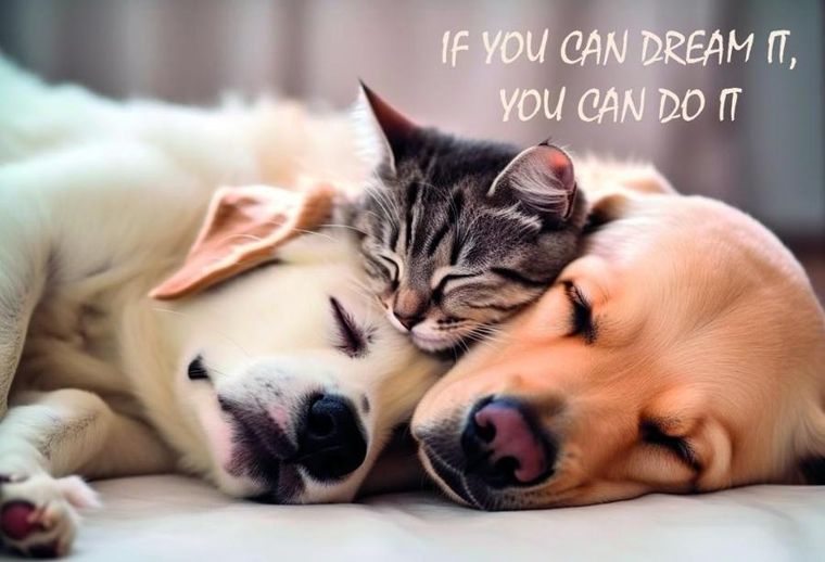 Panta Plast, mata dwustronna z nadrukiem, frendship