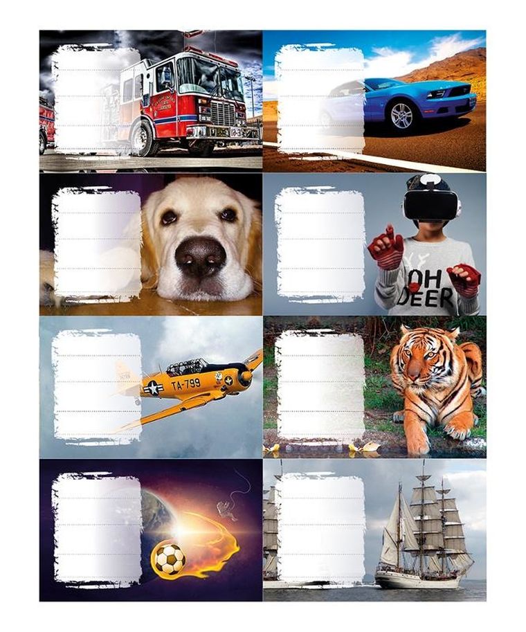 Panta Plast, naklejki na zeszyty, Boys