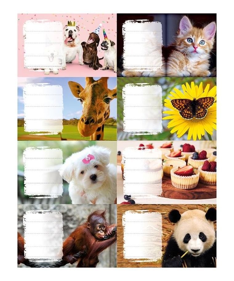 Panta Plast, naklejki na zeszyty, Girls