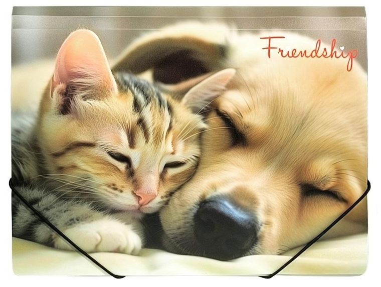 Panta Plast, teczka na gumkę, A4, Friendship, 1 szt.