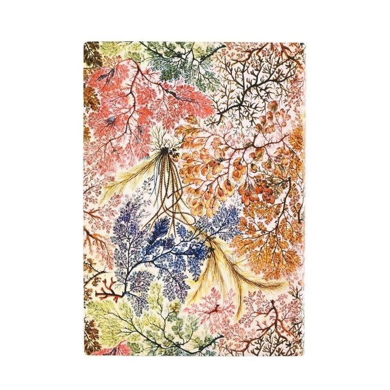 Paperblanks, notatnik, gładki, Anemone, Midi, 1 szt.