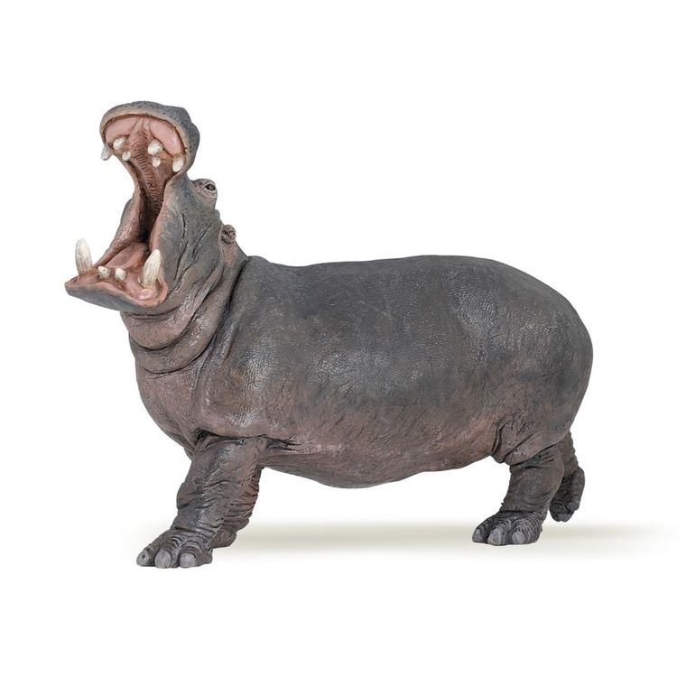 Papo, Hipopotam, figurka kolekcjonerska