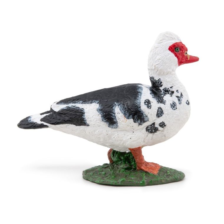 Papo, Kaczka Piżmówka, figurka