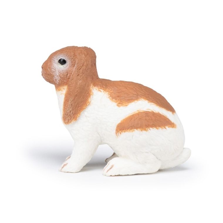 Papo, Królik Holland Lop, figurka