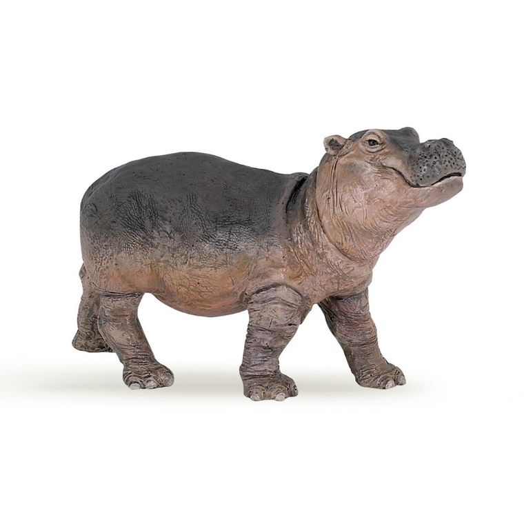 Papo, Młody hipopotam, figurka kolekcjonerska