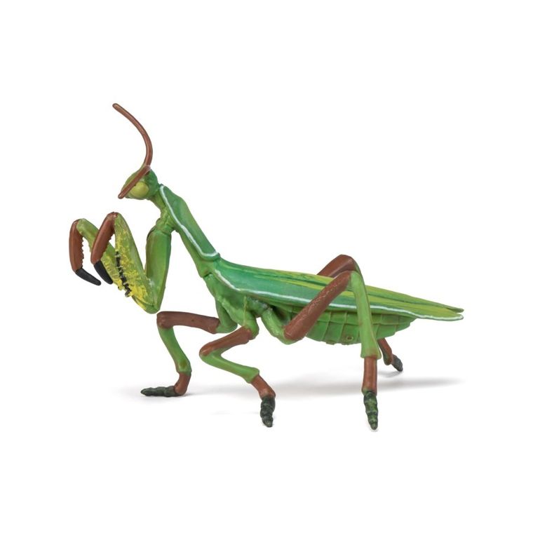 Papo, Modliszka, figurka