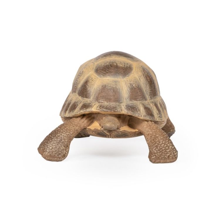 Papo, Żółw Hermana, figurka