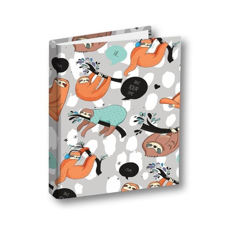 Penmate, segregator A5/2R, leniwce