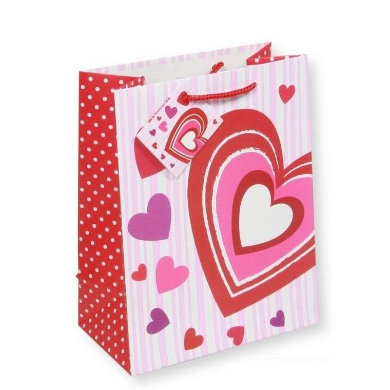 Penword, torebka prezentowa, 17,8-22,9-9,8 cm