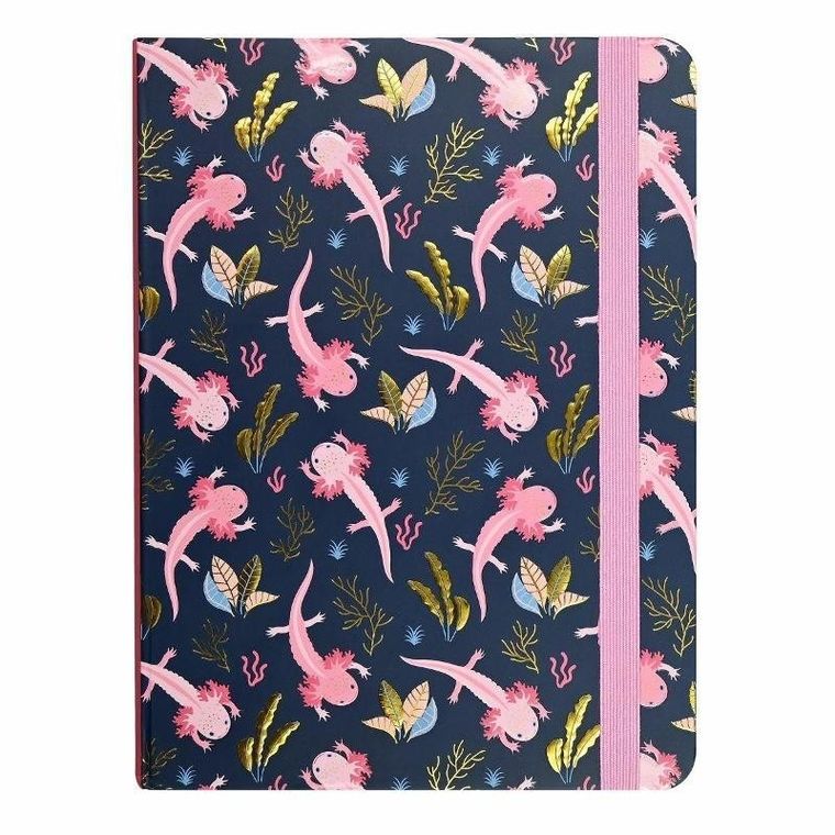 Peter Pauper Press, notatnik midi, Aksolotle, 1 szt.