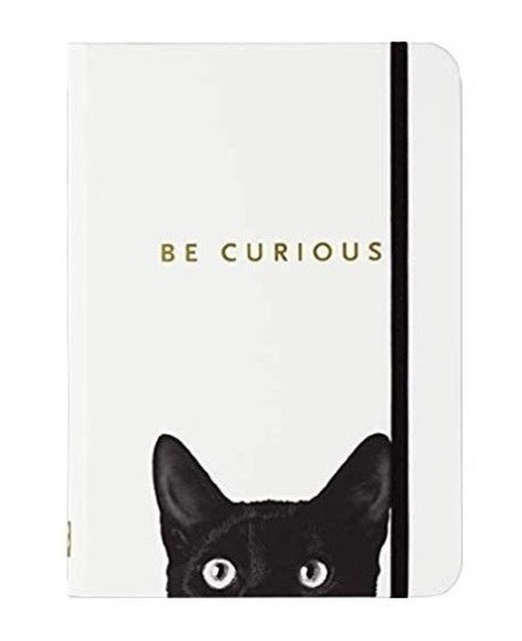 Peter Pauper Press, notatnik mini Ciekawski Kot, 1 szt.