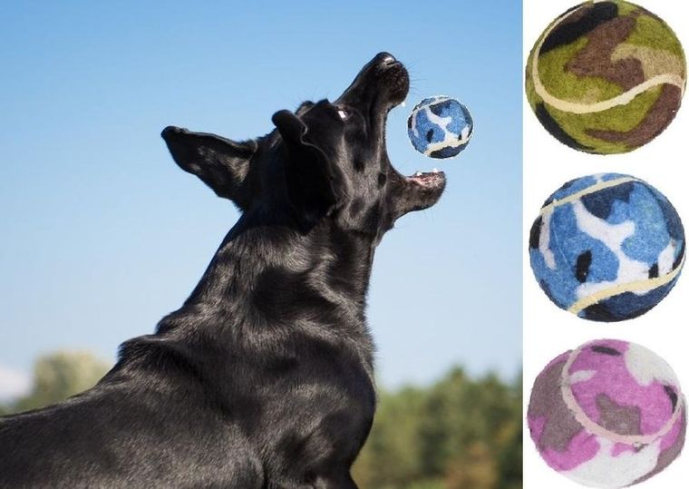 Pets Collection, piłeczki tenisowe dla psa, 3 szt.
