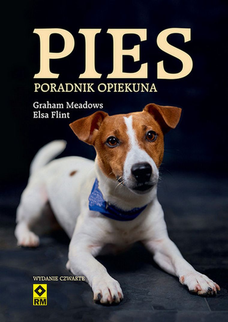 Pies. Poradnik opiekuna