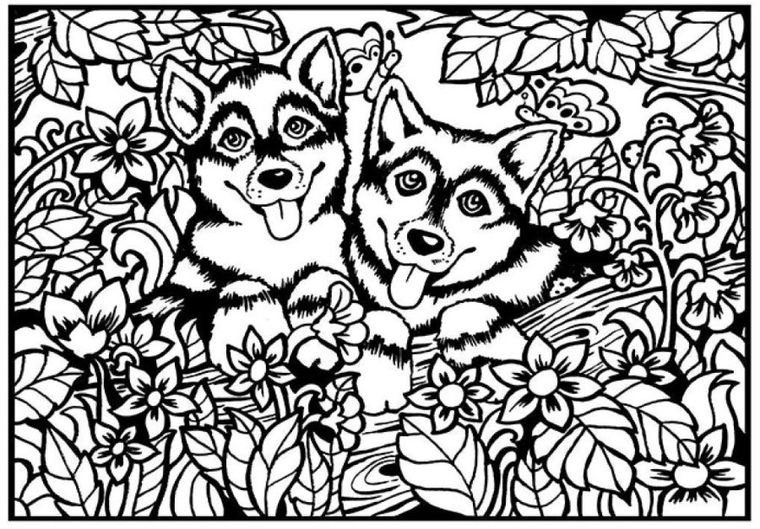 Pieski. Kolorowanka welwetowa A4