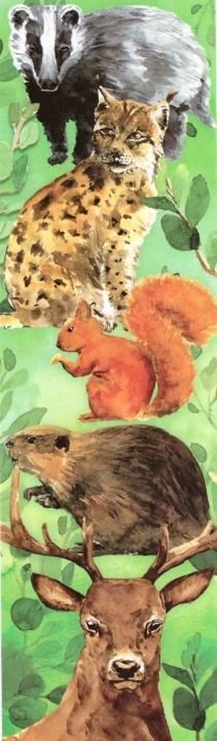 Plan, zakładka do książki, zwierzęta