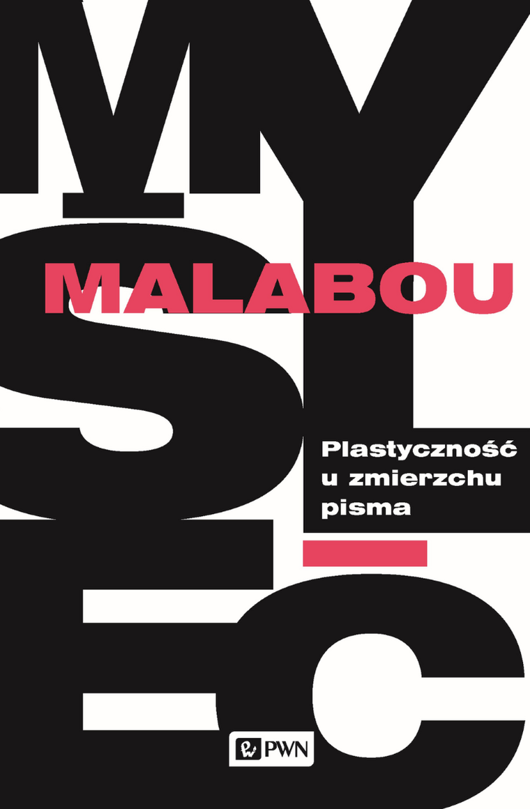 Plastyczność u zmierzchu pisma. Dialektyka, destrukcja, dekonstrukcja
