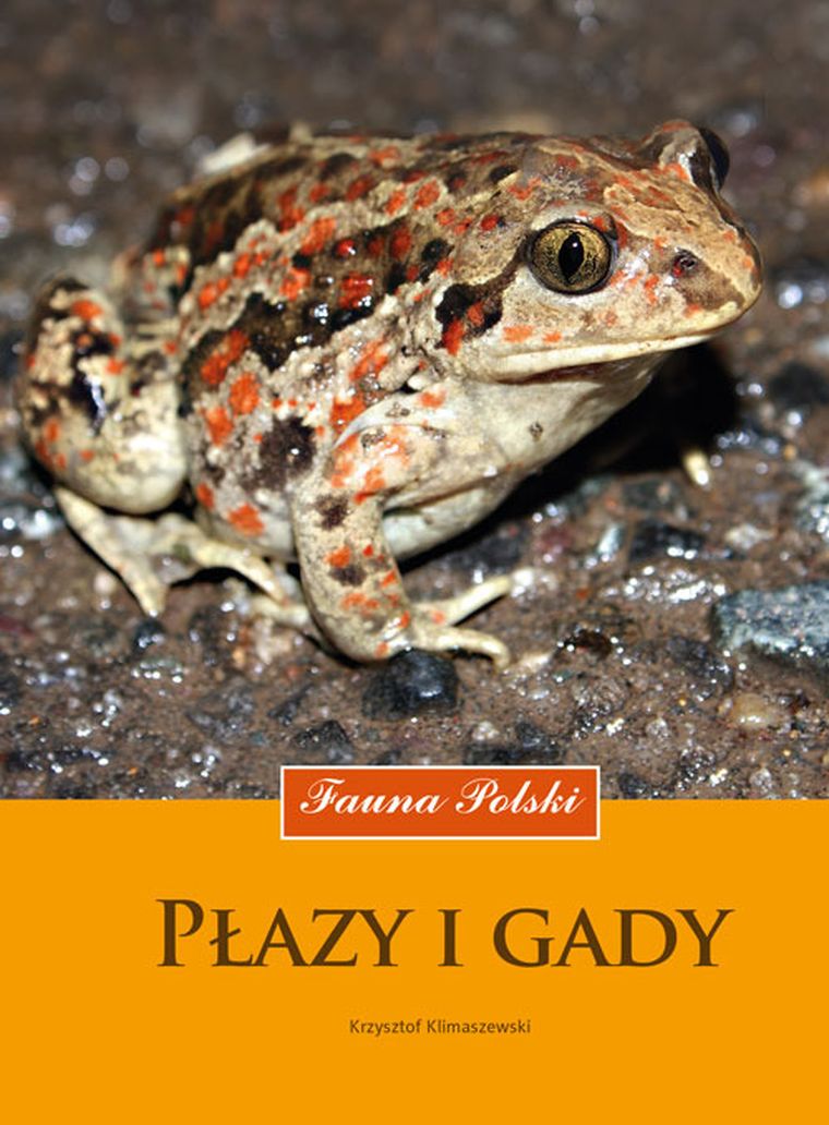 Płazy i gady. Fauna Polski